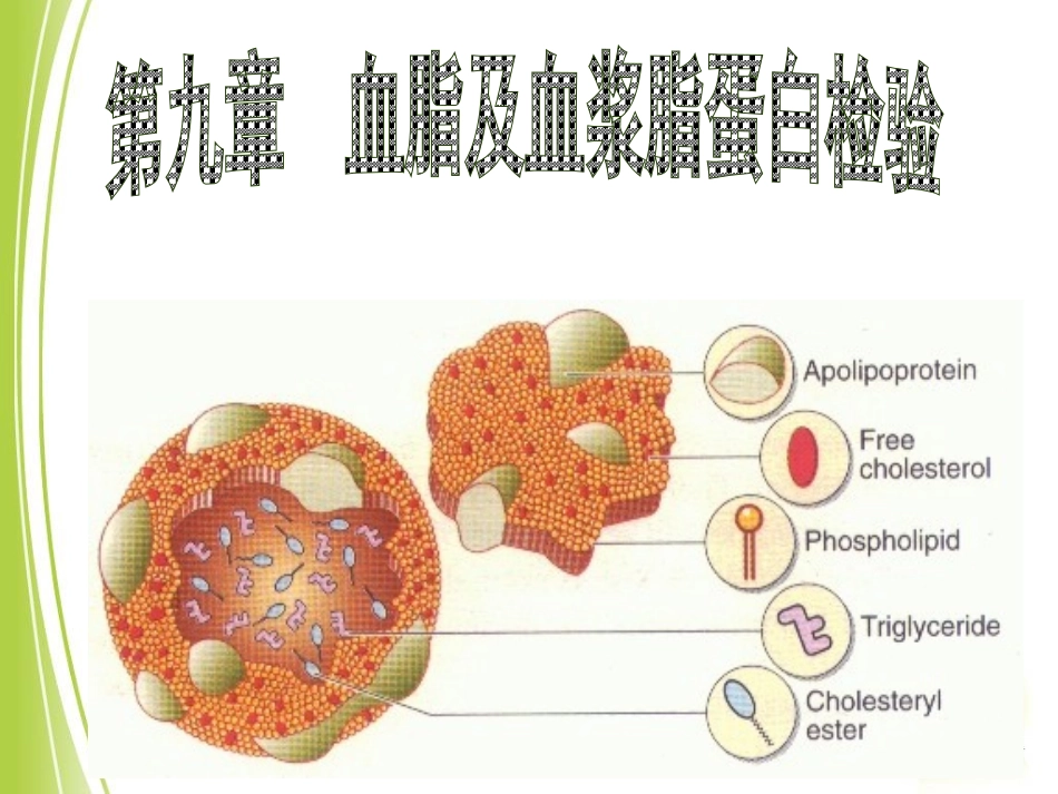血脂及血浆脂蛋白检验_第1页