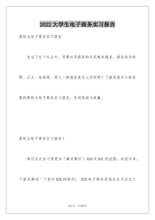 2024大学生电子商务实习报告_9