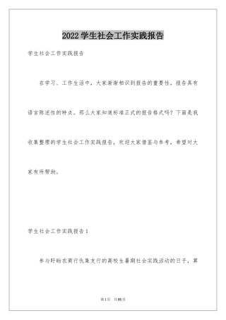 2024学生社会工作实践报告