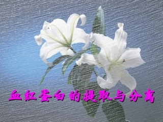 血红蛋白的提取和分离(优质课)