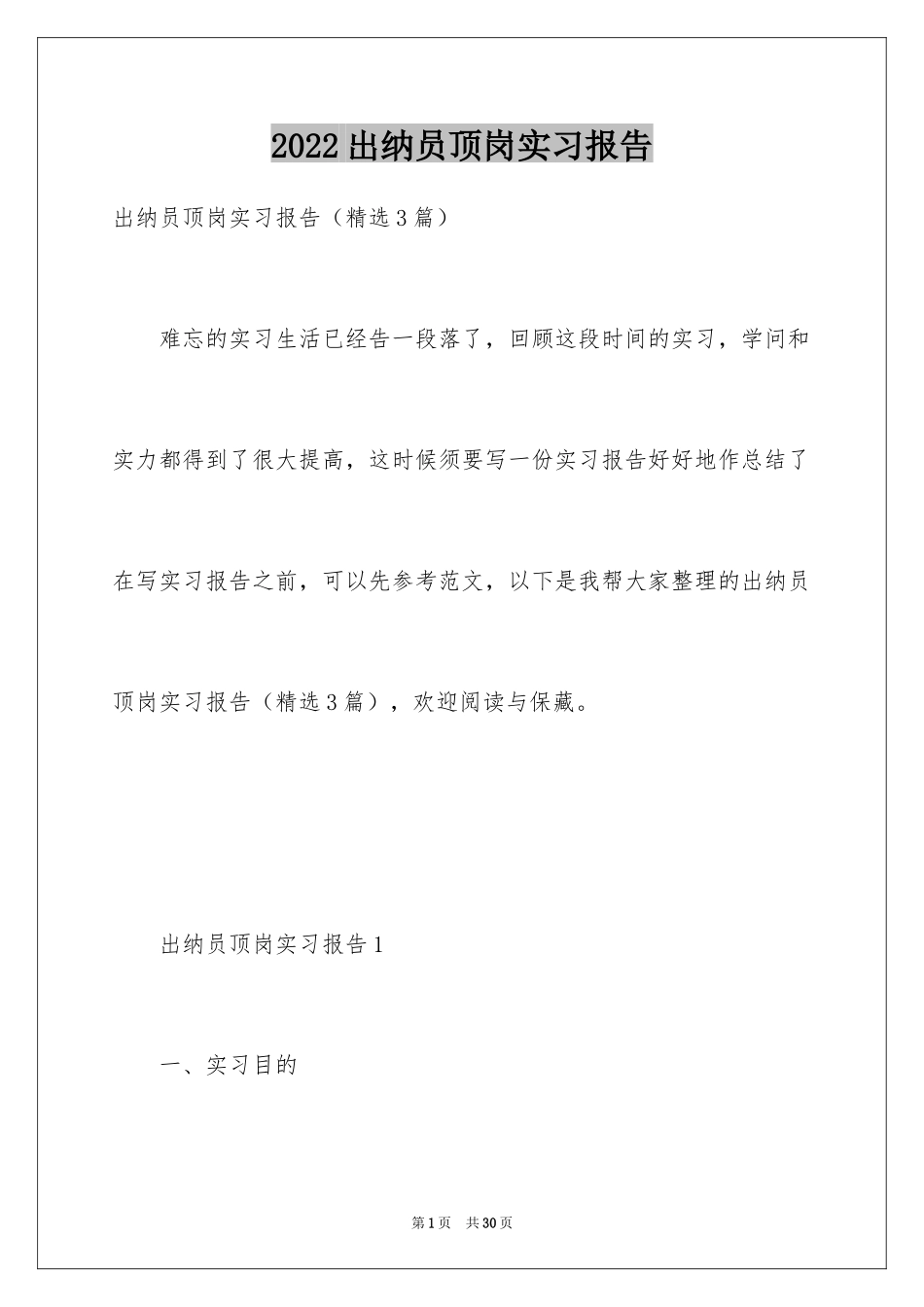 2024出纳员顶岗实习报告_第1页