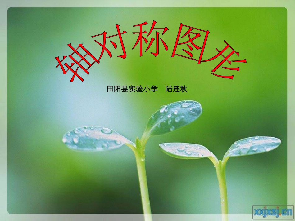 田阳县实验小学陆连秋_第1页