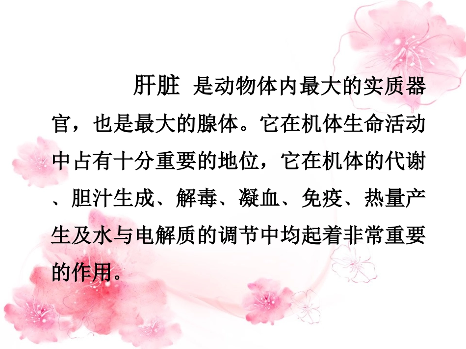 血液生化检查详解_第3页