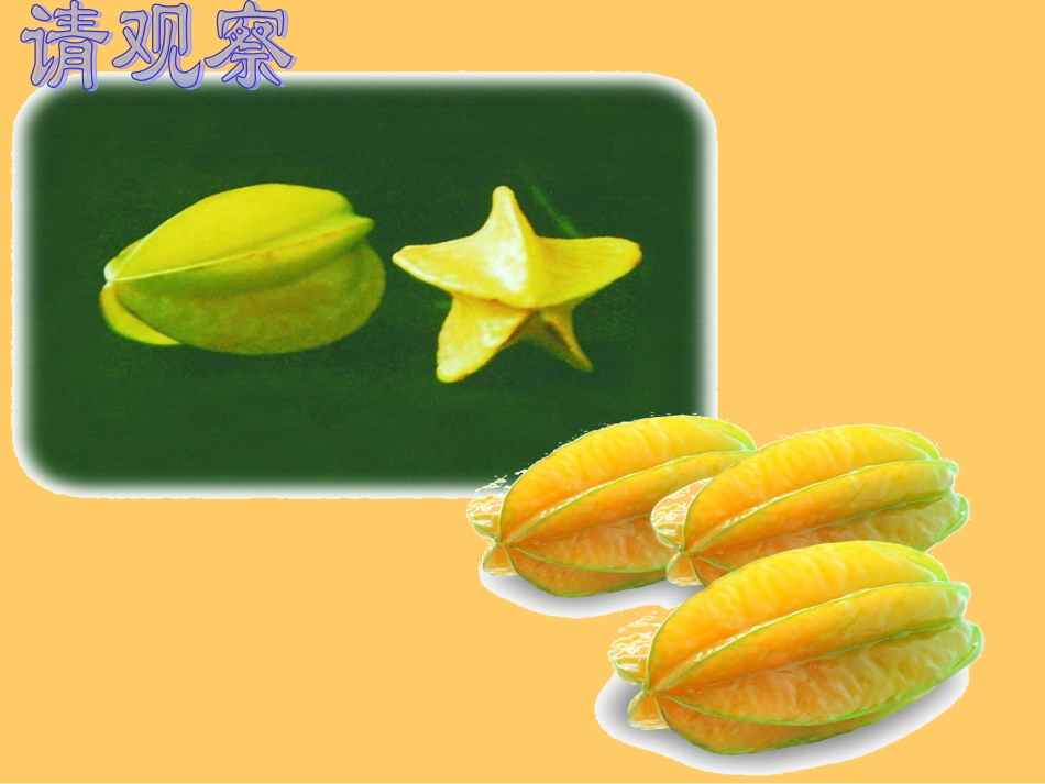 画杨桃[1]用_第3页