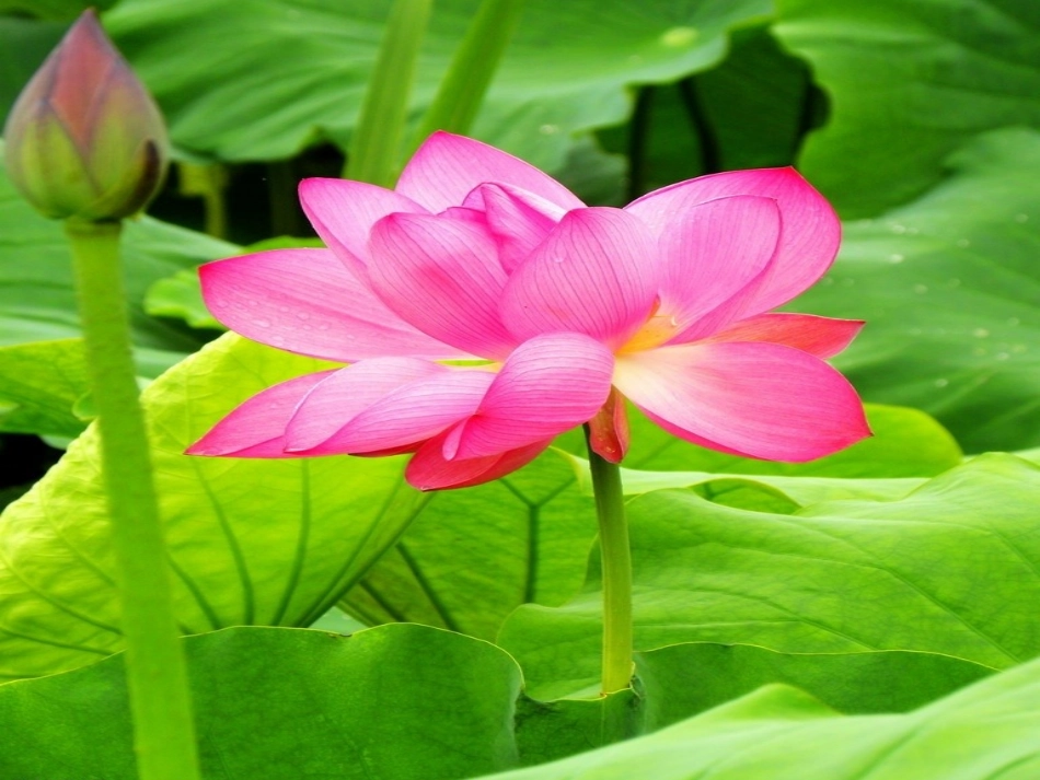 什么是周长十四小学梁润香_第1页