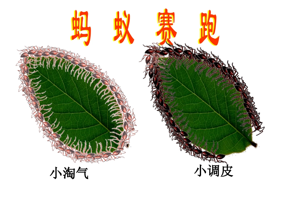 什么是周长十四小学梁润香_第2页