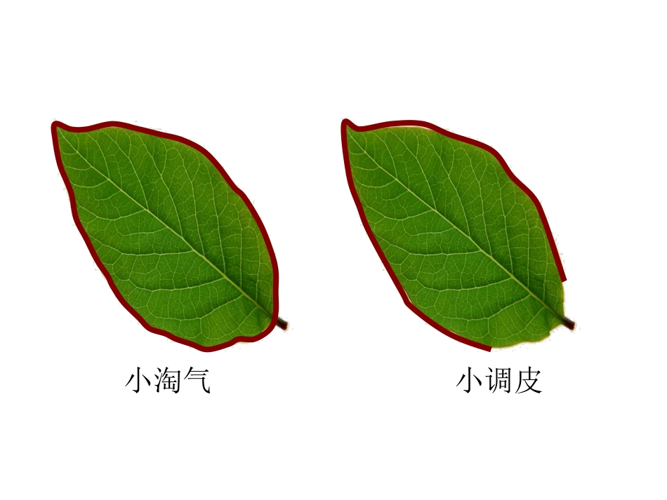 什么是周长十四小学梁润香_第3页