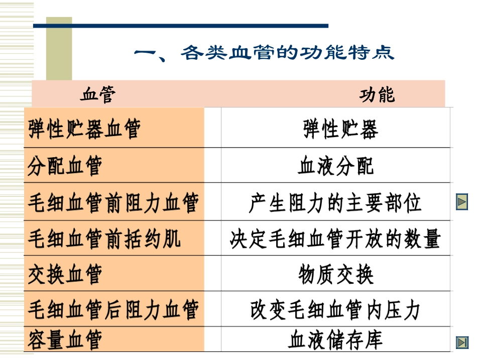 血液循环2(60)修改_第2页