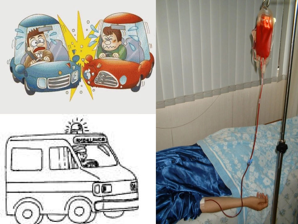 血液是生命之源详解_第2页