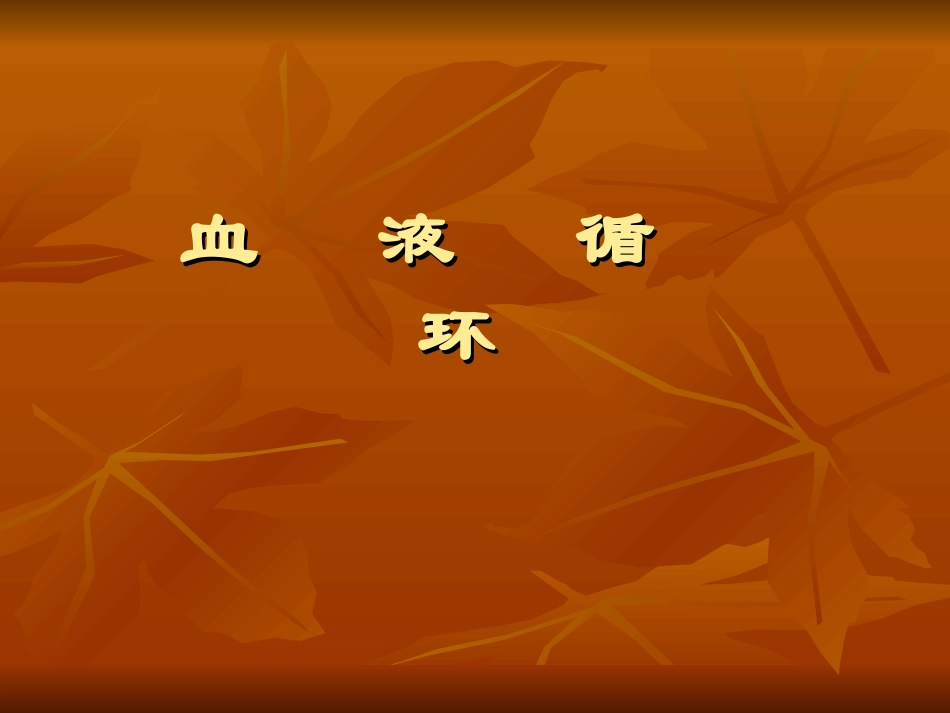 血液循环的动力-心脏_第1页