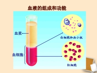 血液和血型()输血与血型