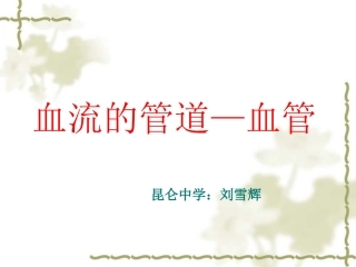 血流的管道-血管
