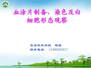 血涂片制备染色及白细胞形态分解