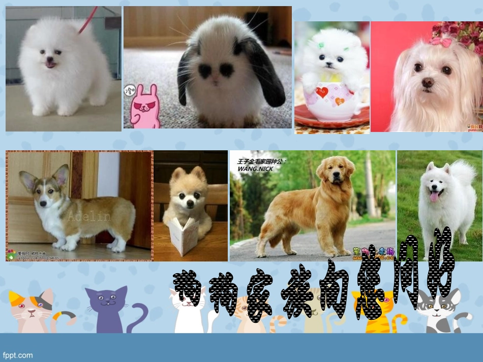 狗狗和板凳张玉红_第2页