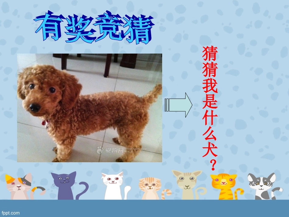 狗狗和板凳张玉红_第3页