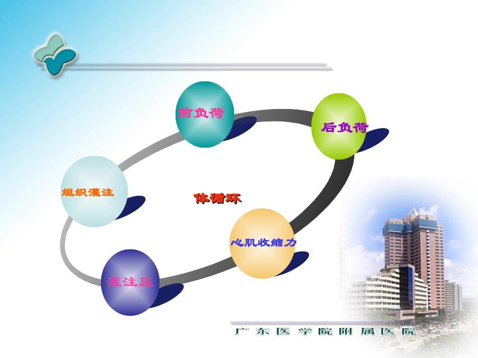 血流动力学支持_第3页