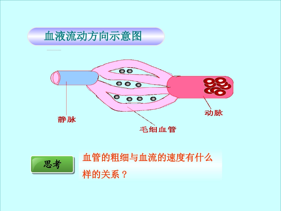 血流的管道-血管(完整版)_第3页