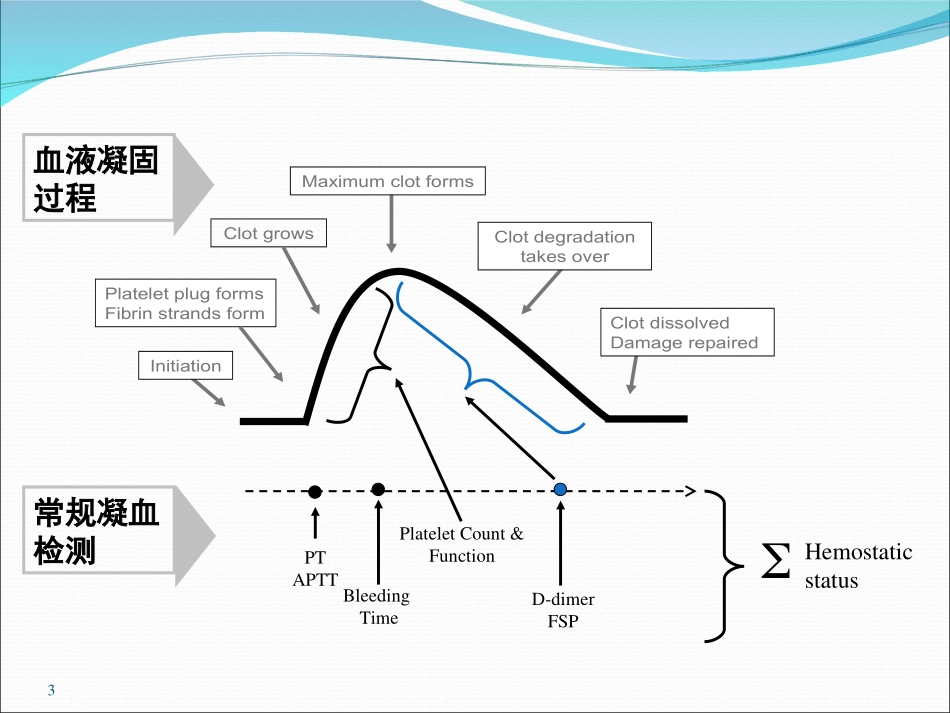 血栓弹力图简介_第3页