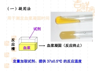 血栓弹力图-血凝仪