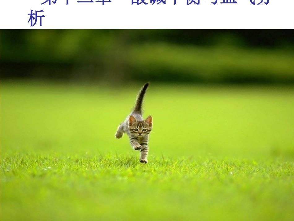 血气分析与酸碱指标测定_第1页