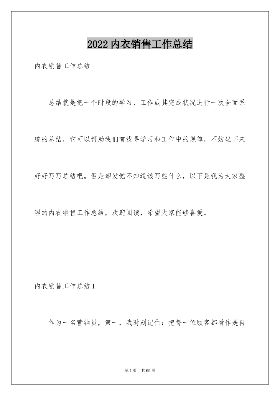 2024内衣销售工作总结_第1页