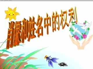 肖像和姓名中的权利