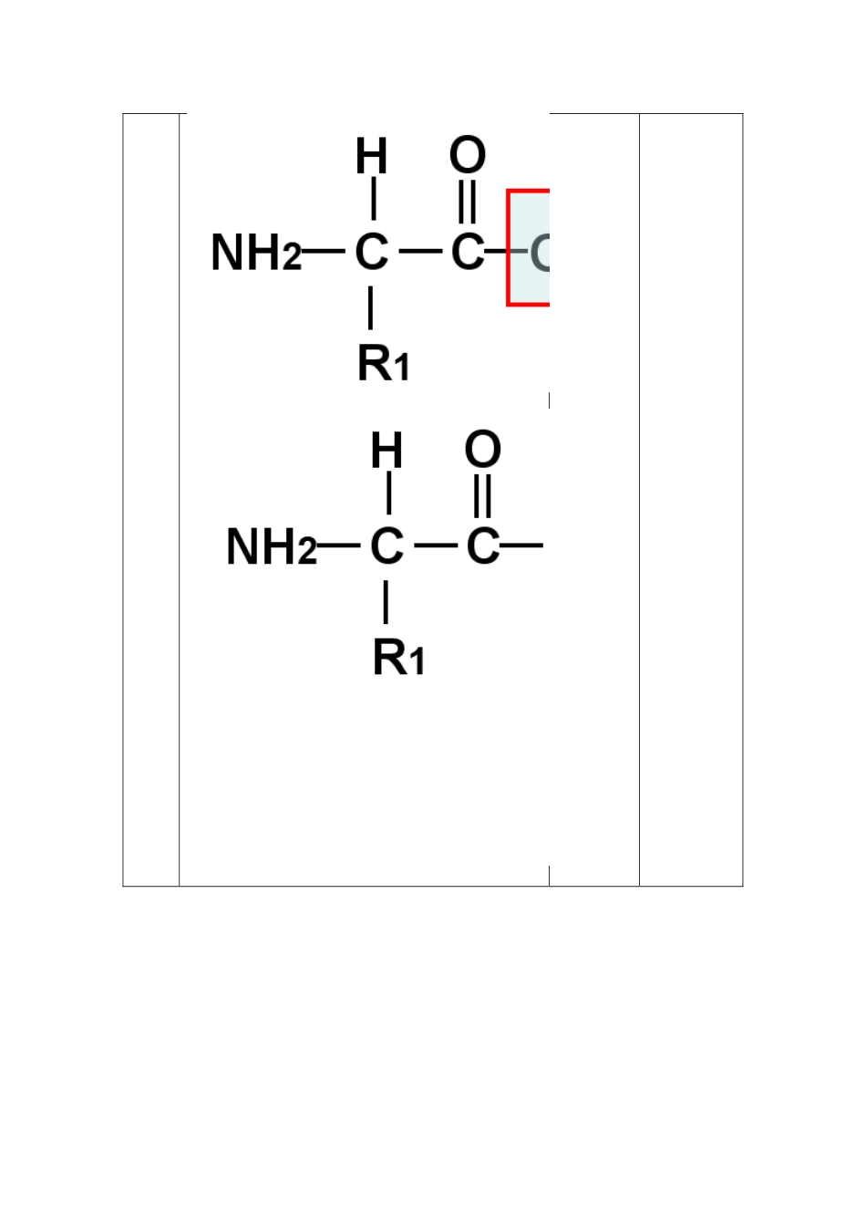 蛋白质讲课教案_第3页