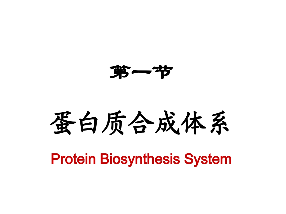 蛋白质翻译课件_第3页