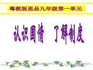 初级阶段的社会主义