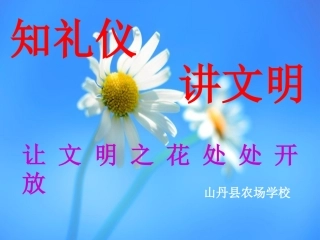 文明礼仪教育