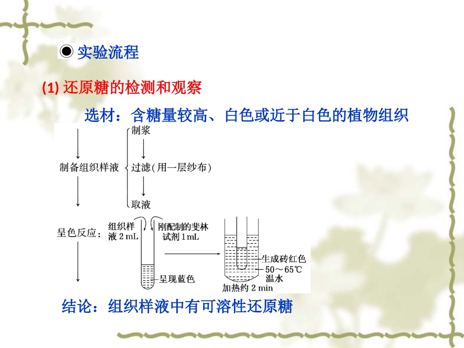蛋白质糖类脂质的实验鉴定_第3页