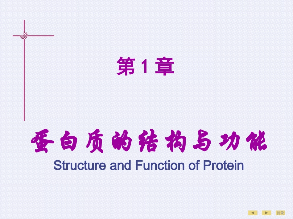 蛋白质的结构与功能01_第1页