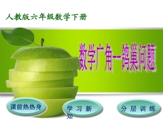 人教版六年级数学下册第5单元数学广角——鸽巢问题