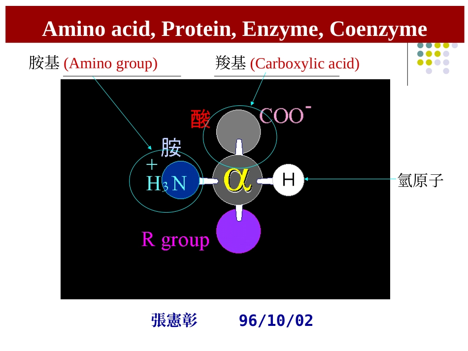 蛋白质的基本单位_第1页