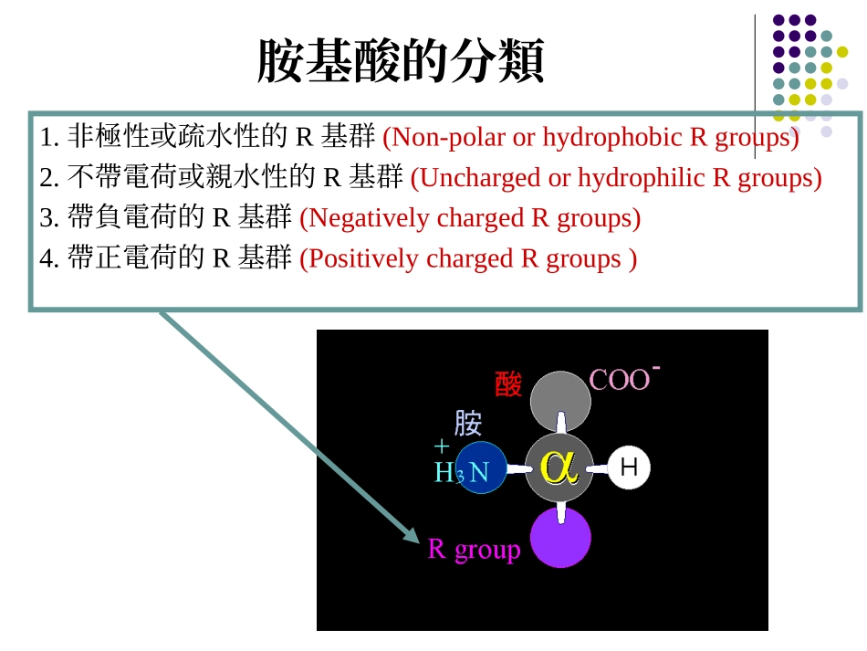 蛋白质的基本单位_第3页