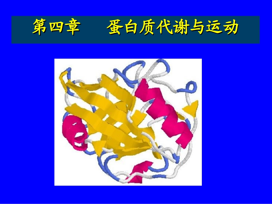 蛋白质代谢与运动_第1页