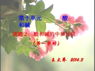 课题2酸和碱的中和反应 (2)