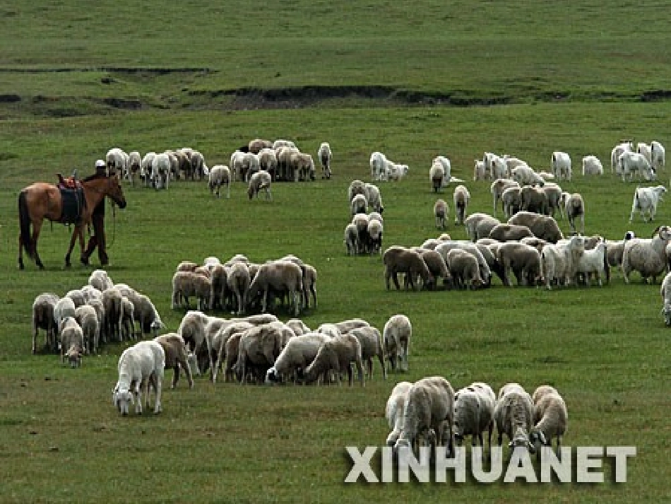 七年级音乐上《草原牧歌》_第2页