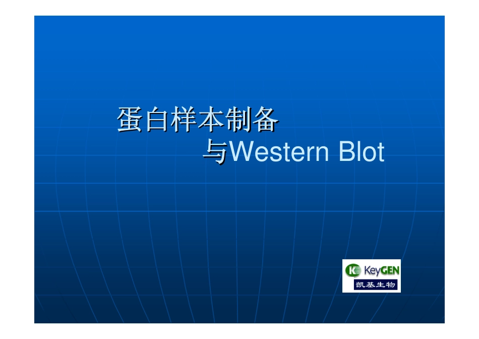 蛋白样本制备与WB_第1页