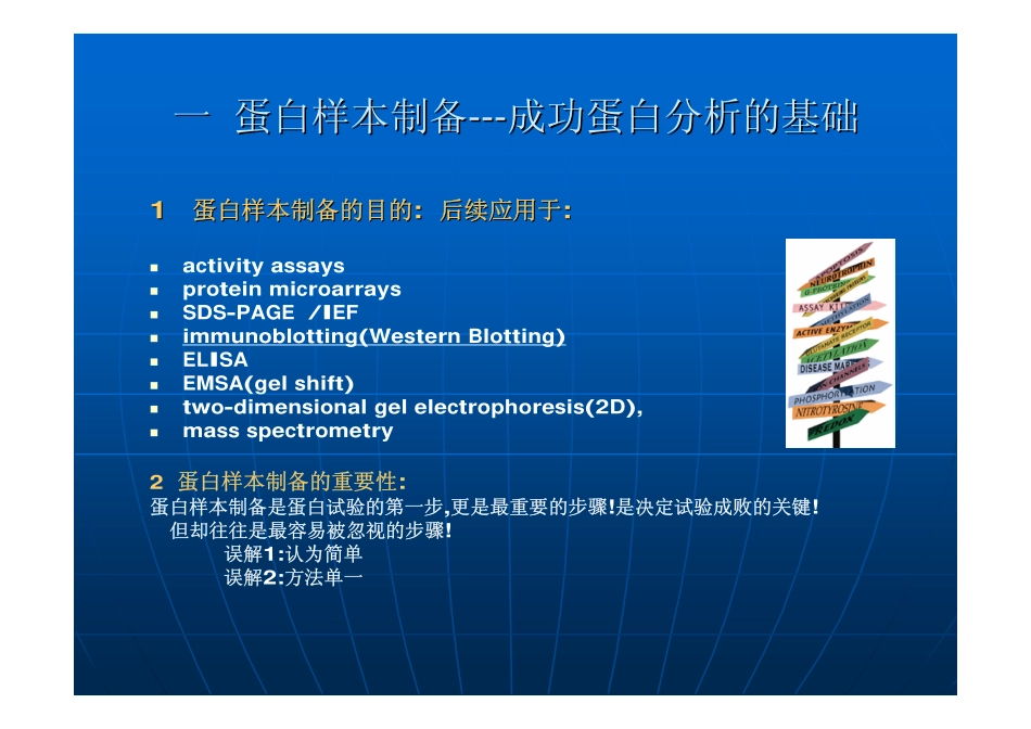 蛋白样本制备与WB_第3页