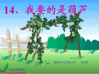 我要的是葫芦课件