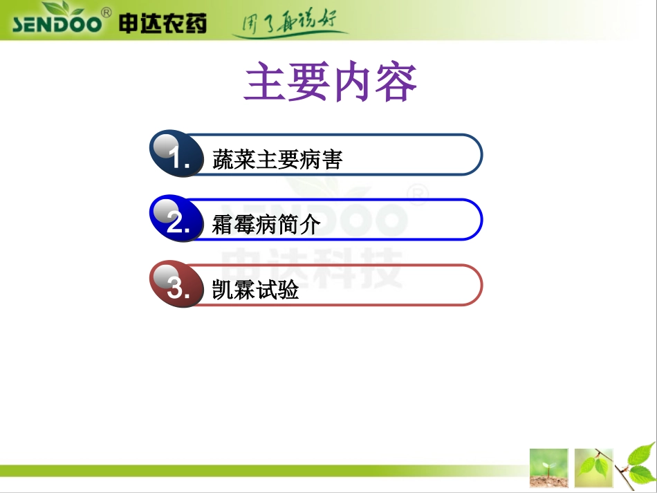 蔬菜霜霉病--_第2页