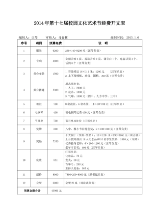 2014艺术节经费开支表