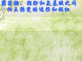 葡萄糖、脂肪和氨基酸之间相互转变的途径和枢纽