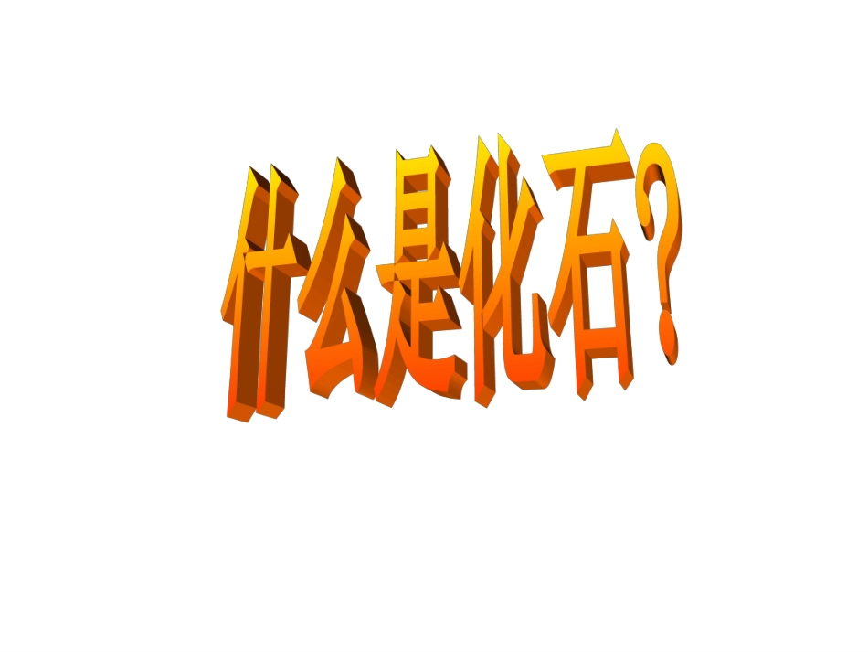 二年级上册第33课《活化石》_第1页