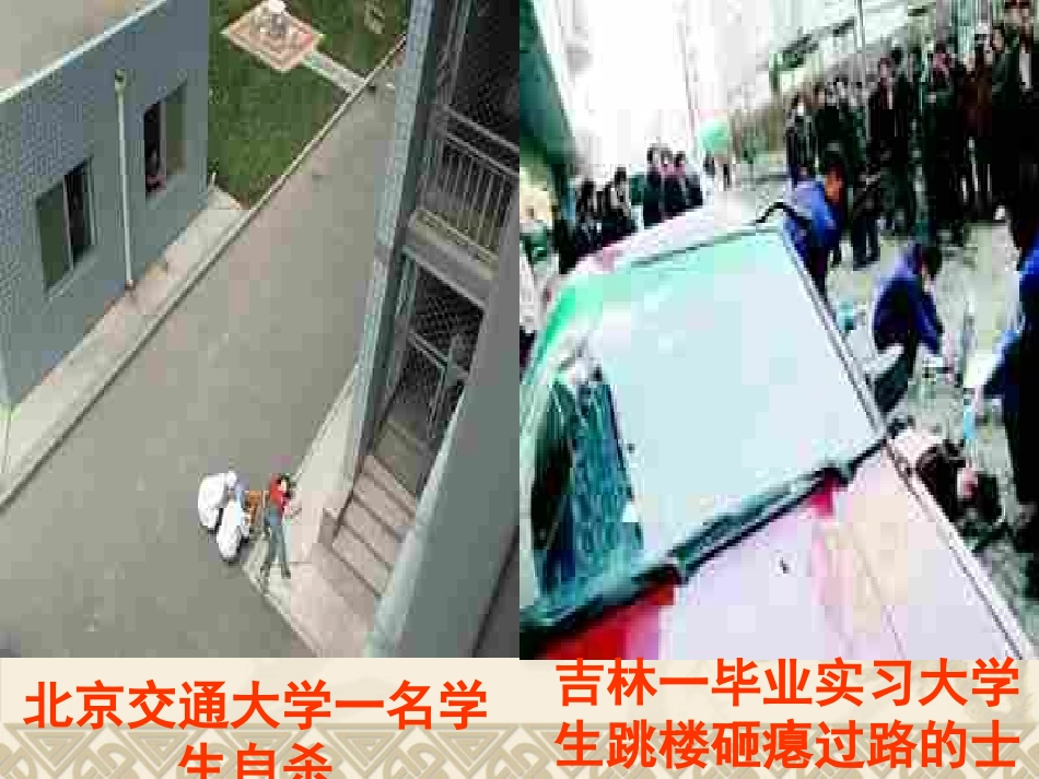 同样的权利同样的爱护_第1页