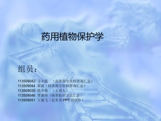 药用植物病虫害防治实习板蓝根病虫害防治部分幻灯片