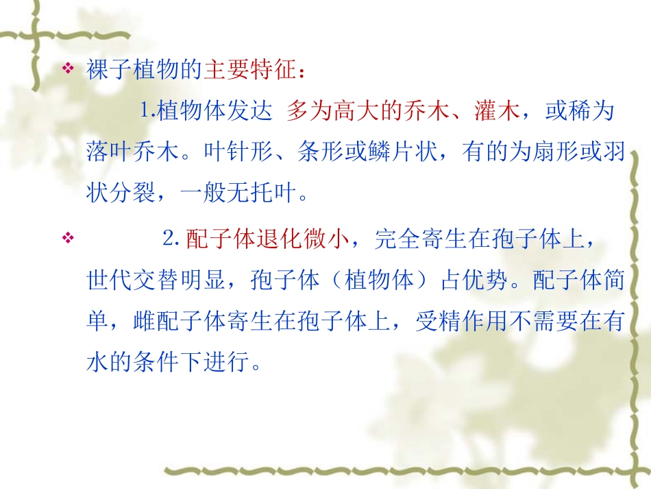 药用植物学-第10章-裸子植物门_第3页