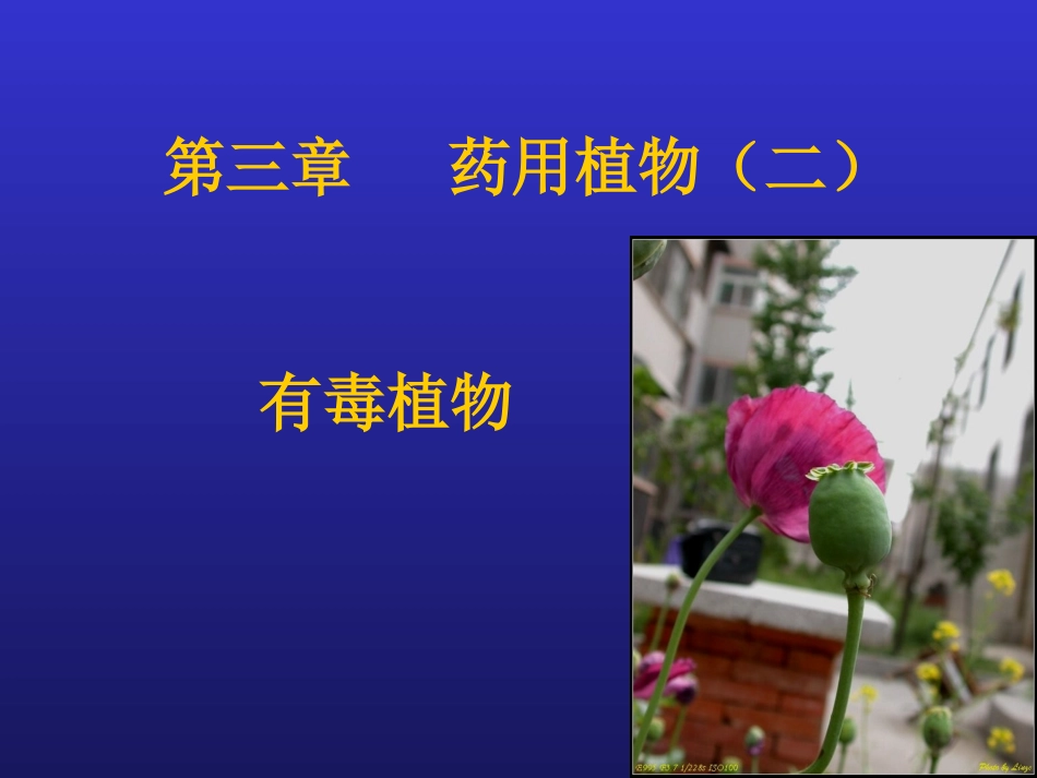 药用植物二-有毒植物_第1页
