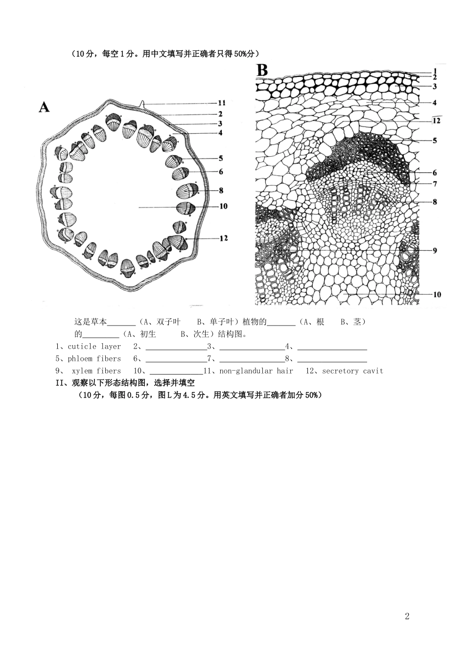 药用植物学(多套合集)_第3页